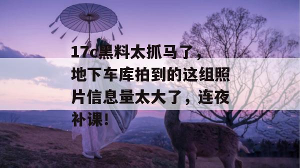 17c黑料太抓马了,地下车库拍到的这组照片信息量太大了,连夜补课!